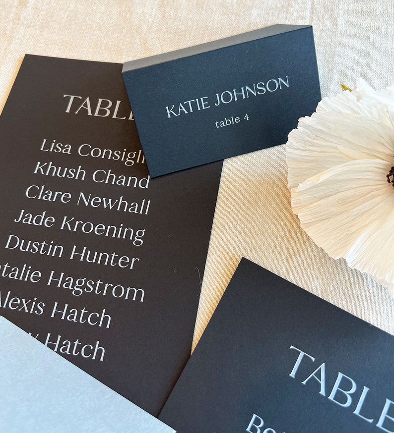 Modern Printed Seating Chart Cards, Serif Font, Black and White Seating Chart, Navy, Wedding Reception, Signage, Name Cards Mid Modern image 3