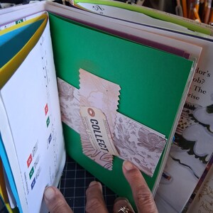 Pu&ograve; includere: Una pagina di scrapbooking con un foglio di carta verde brillante e una striscia decorativa a motivi floreali rosa al centro. Un piccolo cartellino beige con la parola COLLECT stampata in nero &egrave; fissato alla striscia. Fa parte di un libro.