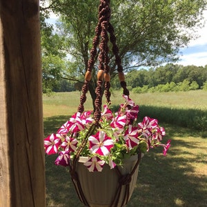 May include: A hanging macrame plant holder with a brown cord and wooden beads. The holder suspends a beige pot filled with vibrant petunias with white and magenta striped petals. The background features a green field and trees.