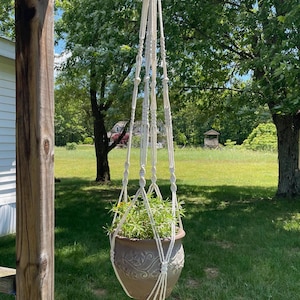May include: A cream-colored macrame plant hanger featuring intricate knotted patterns and a long tassel at the bottom. It holds a round, brown ceramic pot with embossed floral details and a small green plant with thin, pointed leaves.