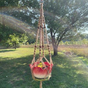 May include: A hanging macrame plant holder with a red and white ceramic flower pot. The pot is filled with greenery. The macrame is made of natural-colored twine and has wooden beads. The plant holder is suspended from a metal hook.