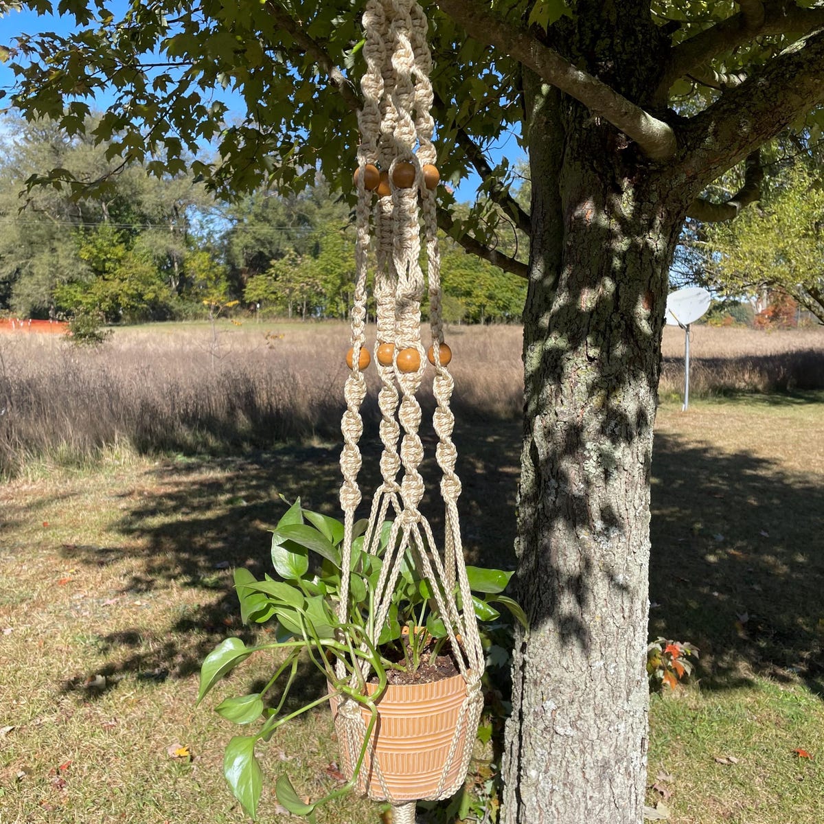 Large "twisted-n-knots" Macrame' Plant Hanger, Large Macrame' Cord Plant Hanger, Large Macrame' Pot Hanger With Wood Beads, Neutral Tones - Etsy
