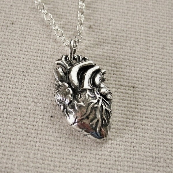 Anatomical Heart Necklace Sterling Silver - Love Jewelry