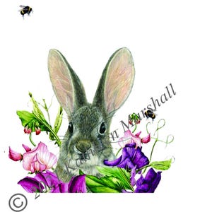 Könnte beinhalten: Aquarellillustration eines grauen Kaninchens, umgeben von rosa und lila Blumen und grünem Laub. Zwei Bienen fliegen in der Nähe des Kaninchens. Das Kunstwerk ist vor einem weißen Hintergrund.