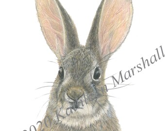 Chloe Bunny Card Hand made, Blank, Original Acuarela Illustration printed Art Card, Mano firmada por el artista