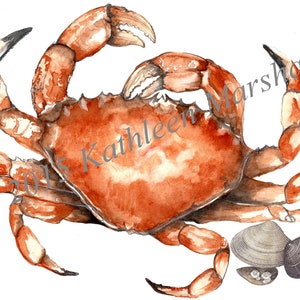 Karta Northwest Dungeness Crab, ręcznie wykonana, pusta, oryginalna ilustracja akwarelowa wydrukowana na karcie artystycznej, ręcznie podpisana przez artystę