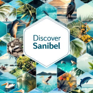 Sanibel Island Florida Reise Wand Kunst Poster, Printable Florida, Strand, Wildtiere Kunst