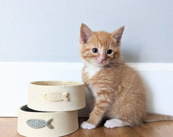 pet perimeter collar