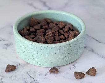 Small Mint Dog Bowl | Handmade Ceramic Pet Food Dish