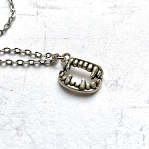 May include: A silver necklace with a pendant shaped like a set of vampire fangs.