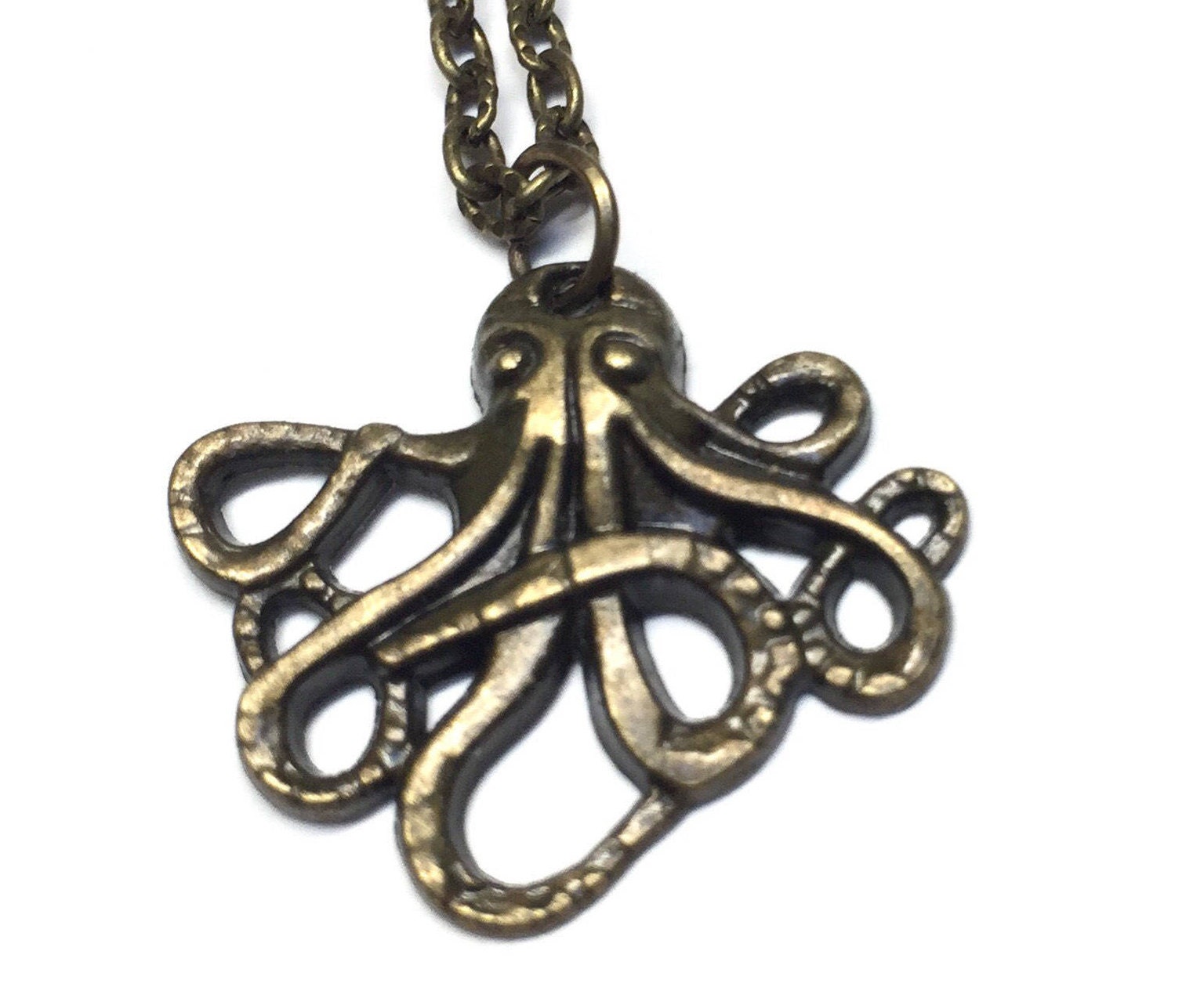 Anatomia Del Polpo Gigante Del Pacifico Polpo Di Mare - Foto 4