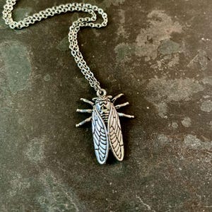 May include: A silver necklace with a cicada pendant. The cicada is detailed with wings and legs.