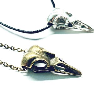 Bird Skull Necklace - silver or bronze