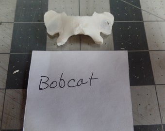 North American Bobcat [1] atlas vertebrae bone