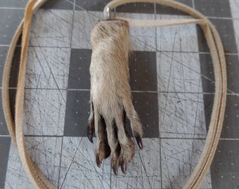 Tannned Raccoon Foot Necklace
