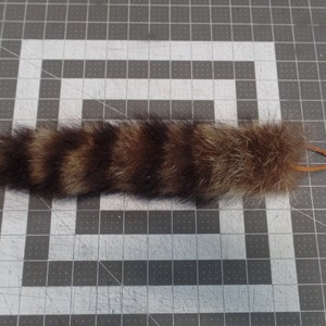 1 Raccoon Fur Tail, no bones, claws, skull, or teeth