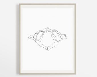 Abstracte Atlas Bot Illustratie, Een lijn wervelkolom tekening, eenvoudige Chiropractor Lijn Art, Minimalistisch skelet Kunst aan de muur, Anatomie Afdrukbare Kunst