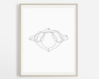 Abstract Atlas Bone Illustration, One Line Spine Drawing, Simple Chiropractor Line Art, Minimalist Skeleton Wall Art, Anatomy Printable Art