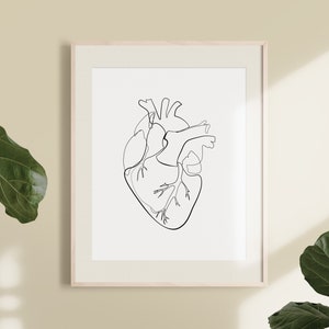 Ilustracja anatomicznego rysunku serca, abstrakcyjna sztuka o zdrowiu, jednoliniowa sztuka ścienna o tematyce medycznej, drukowana sztuka cyfrowa, minimalistyczny wystrój lekarza.