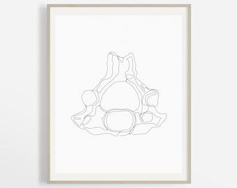 Cervical Vertebrae Line Drawing, Abstract Human Anatomy Bone Illustration, One Line Skeleton Sketch, Medical Art Prints, Office Decor Poster