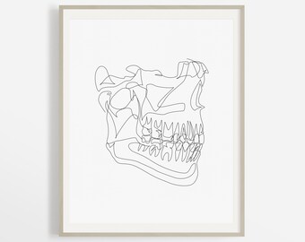 Op de afbeelding: Lijntekening van een schedel met tanden in één doorlopende lijn. De schedel is naar rechts gericht en de tanden zijn zichtbaar. De tekening is in zwart-wit en op een witte achtergrond.