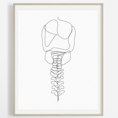 Spine Vertebrae Abstract Drawing Chiropractic Art Print - Etsy