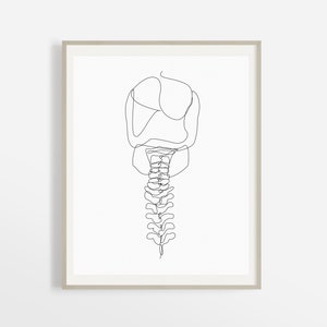Simple Abstract Spine Wall Art Chiropractic Art Print Etsy Hi, in this video i show you how to draw a skeleton step by step! usd