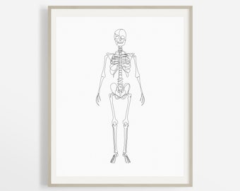 Full Human Skeleton Body Artwork, Abstract Skeletal System Printable, Minimalist Medical Wall Art, Chiropractor Bone Art Print, Doctor Art.