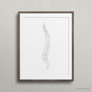 May include: A black and white line drawing of the human spine, printed on white paper and framed in a brown wood frame.
