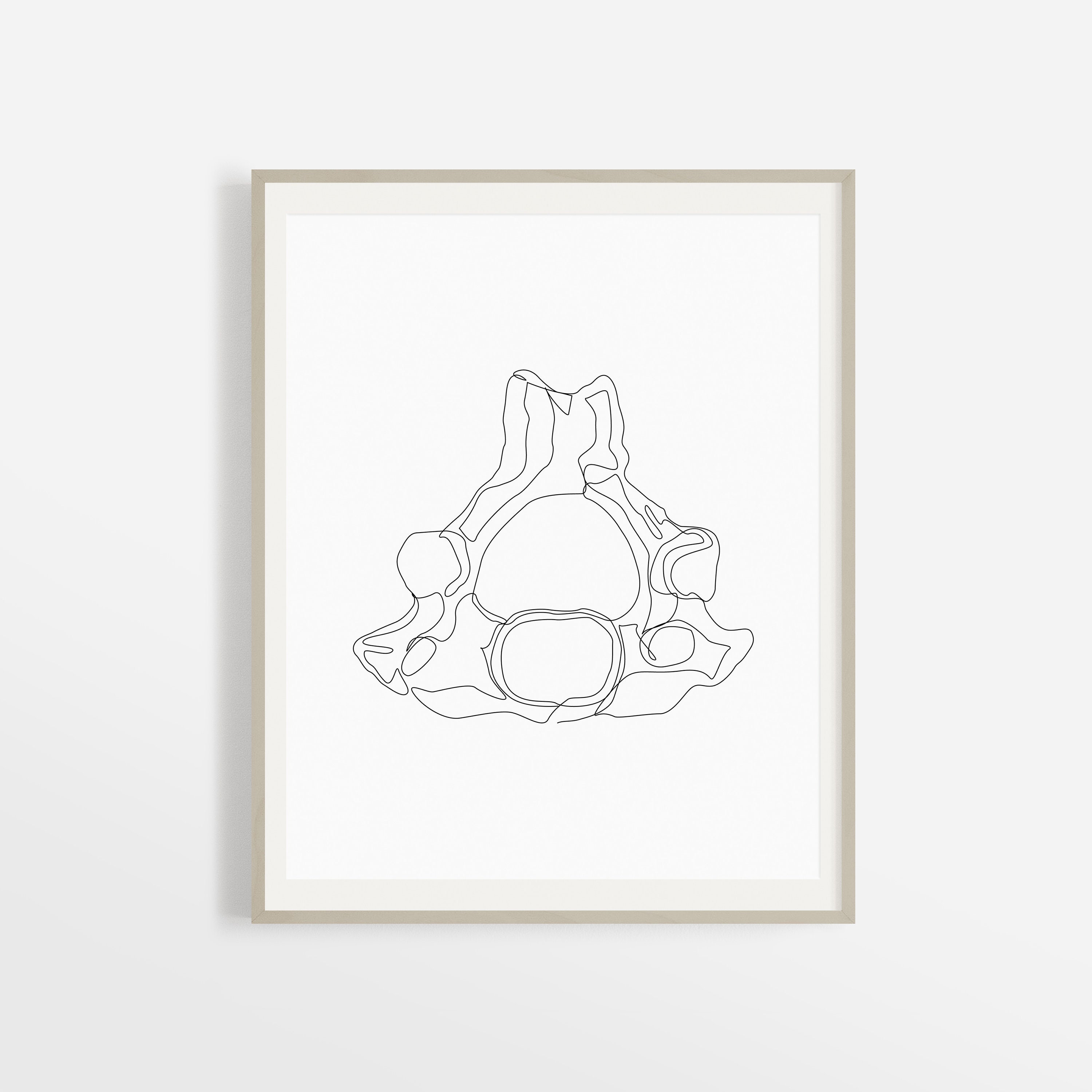 Cervical Vertebrae Line Drawing, Abstract Human Anatomy Bone ...