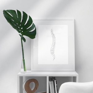 Spine Vertebrae Abstract Drawing, Chiropractic Art Print, Minimal ...