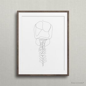 Abstract One Line Skull Drawing, Minimalist Chiropractic Art Print, Modern Medical Wall Art, Simple Anatomy Print, Single Line Sketch, Decor