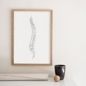 Spine Vertebrae Abstract Drawing, Chiropractic Art Print, Minimal ...