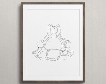 Vertebra Illustration, One Line Bone, Minimalist Fine Line Anatomy Poster, Chiropractic Abstract Wall Art, Medical Office Decor