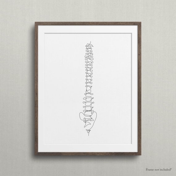 Abstract Spinal Cord Drawing Print, Minimalist Medical Wall Art