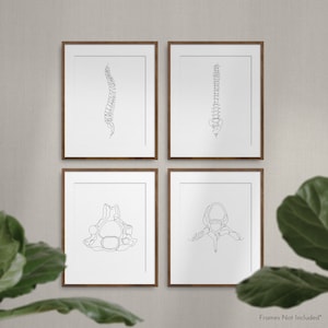 Abstract Medical Art Set of 4, Minimalist Chiropractic Art Prints, Simple Line Art Anatomy, Spine Art Poster, Vertebrae Drawing, Therapy Art