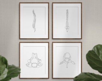 Abstract Medical Art Set of 4, Minimalist Chiropractic Art Prints, Simple Line Art Anatomy, Spine Art Poster, Vertebrae Drawing, Therapy Art