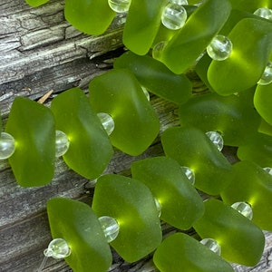 Beach Glass Sea Glass (Seaglass) Rondelles - Frosted Lime Green Center Drilled Freeform Button Spacer Beads - 14-15mm - 1 st. (10 pcs.)