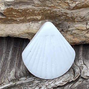 May include: A white ceramic seashell shaped soap dish. The dish has a raised design of a seashell with ridges.