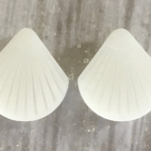 May include: Two white shell-shaped earrings with a textured, ribbed design.