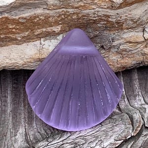 May include: A purple glass sea shell with a textured surface. The shell is smooth and has a glossy finish.