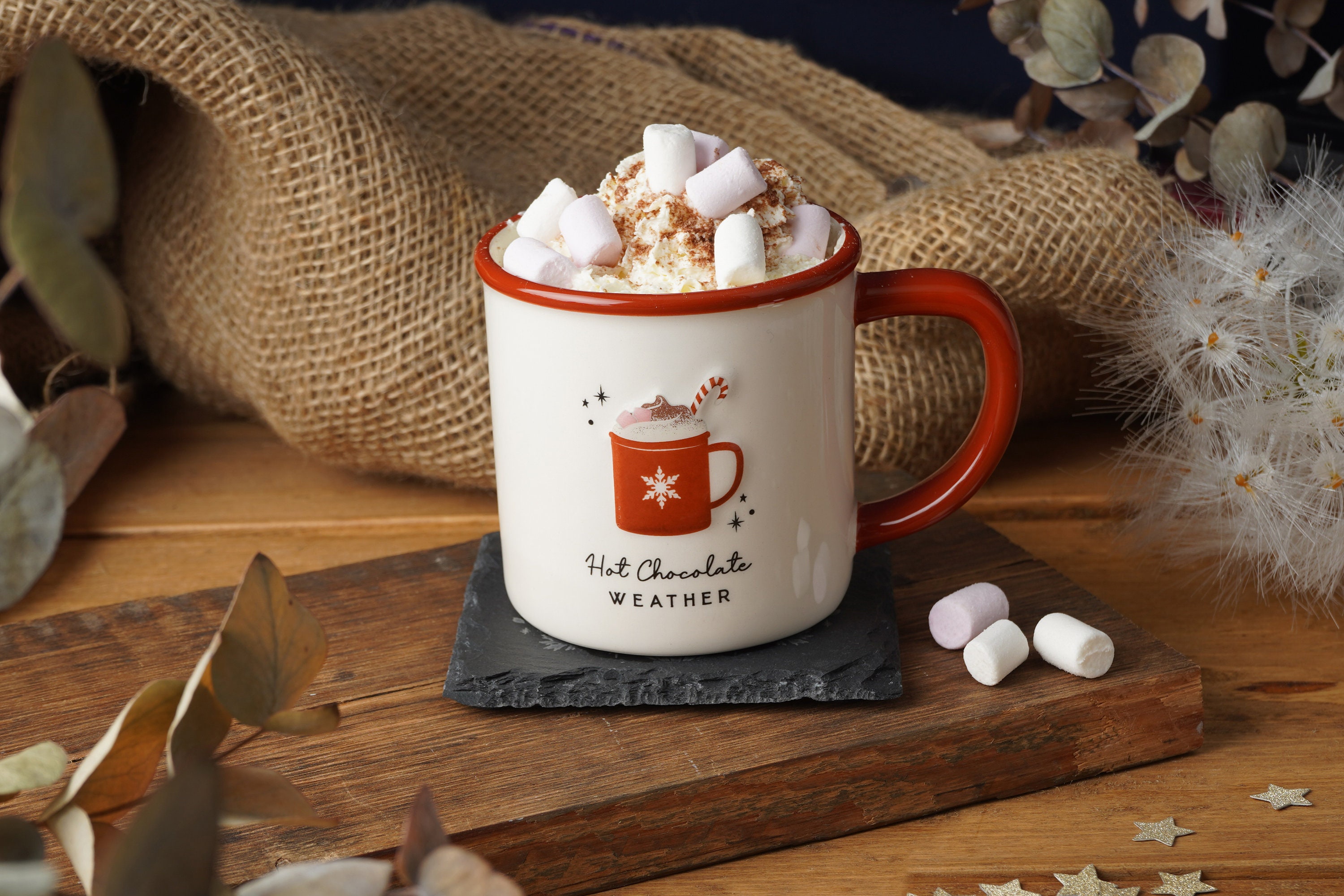 Heartwarming Hot Chocolate - Winter Warmer - Thermobexta