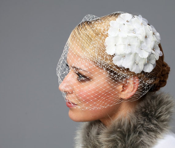 Image of Bridal veil hydrangea image 5