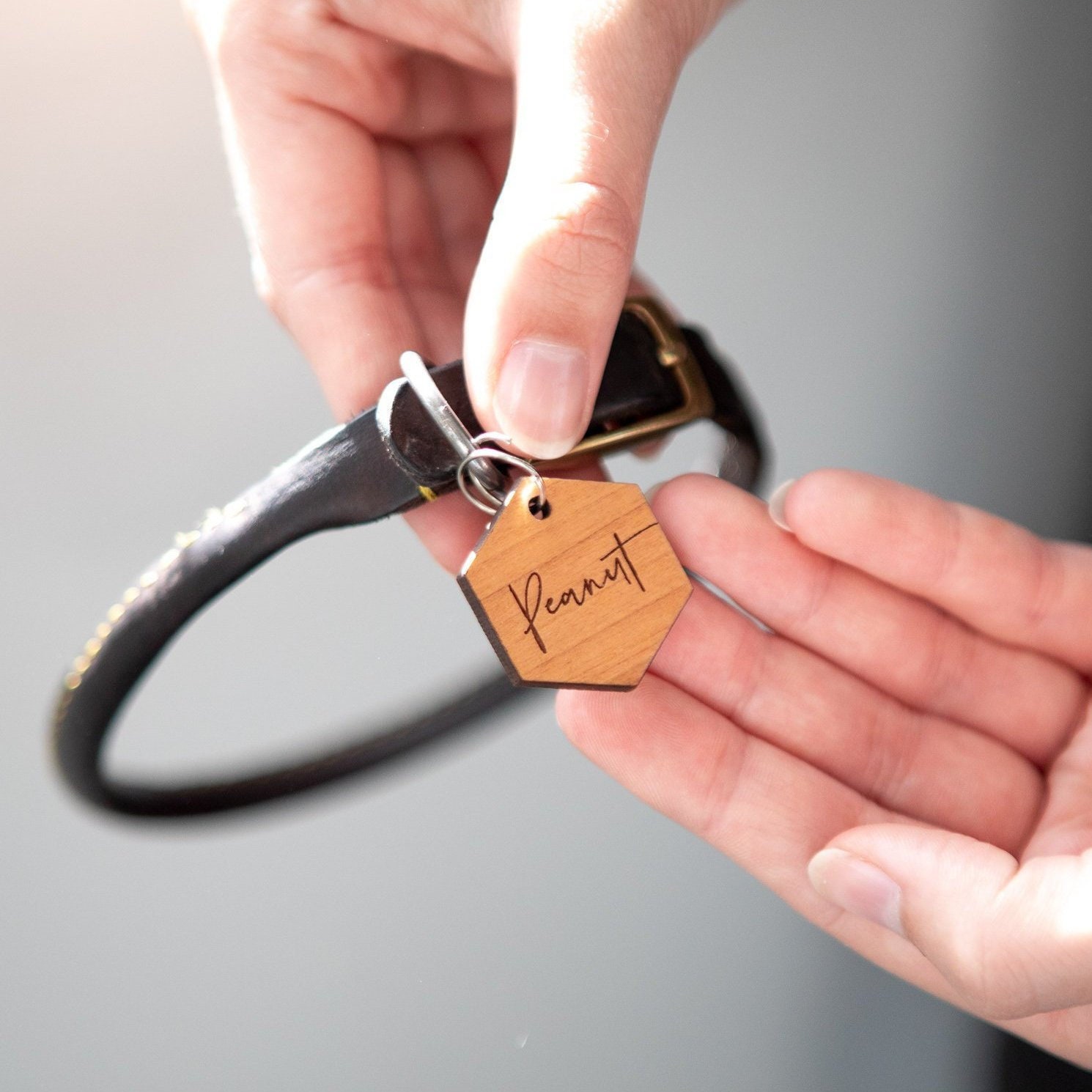 personalised dog accessories