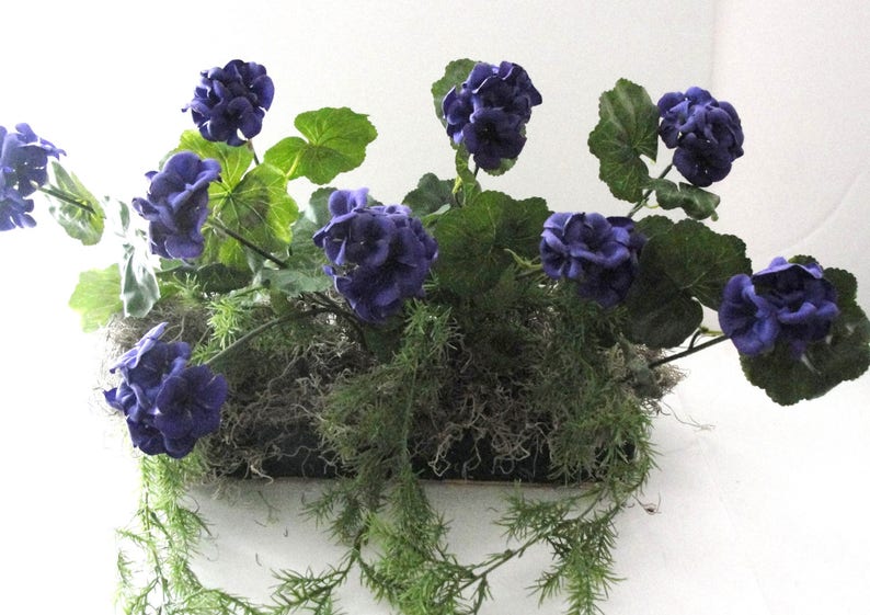 Purple Lovers Geraniums Cascading Springeri Silk Window Box Etsy