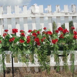 May include: A white picket fence with red geraniums in hanging planters. The planters are on black metal stands.