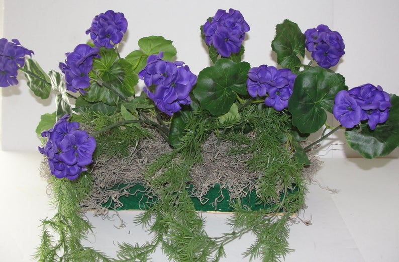 Purple Lovers Geraniums Cascading Springeri Silk Window Box Etsy