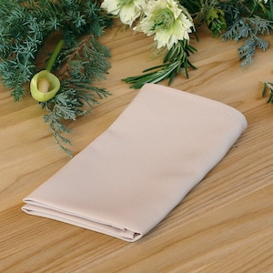 Pocket square BISCOTTI  David&#39;s Bridal  Matching Hanky Taupe Beige Men&#39;s handkerchief e Fabric 2019 Special Order