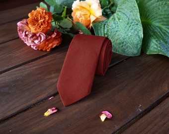 ties to match david's bridal colors