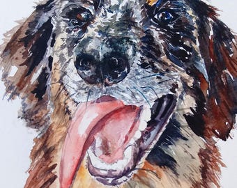 Dog Watercolor. Dog portrait. tan point blue merle aussiedoodle. Goofy face, #sunsouttonguesout!